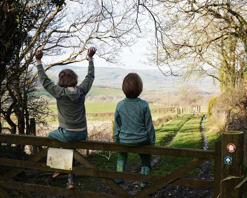 Treberfedd Farm Cottages And Cabins Lampeter Luaran gambar