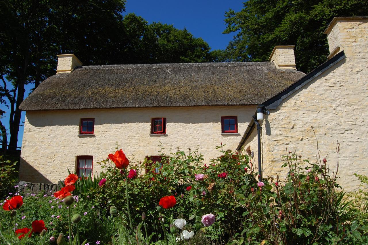 Treberfedd Farm Cottages And Cabins Lampeter Luaran gambar